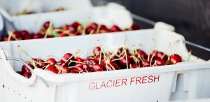 Glacier Fresh Cherries